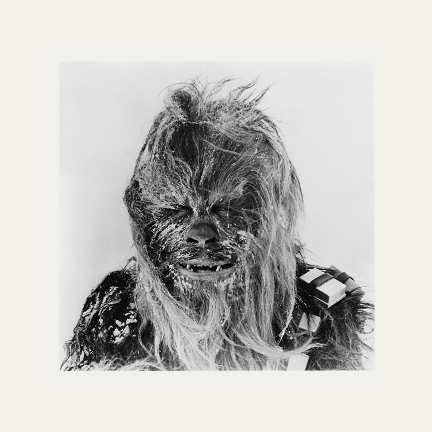Photo Star Wars: Episode V - The Empire Strikes Back 1980 - Peter Mayhew