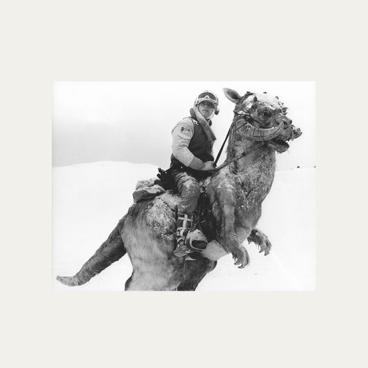 Photo Star Wars: Episode V - The Empire Strikes Back 1980 - Mark Hamil