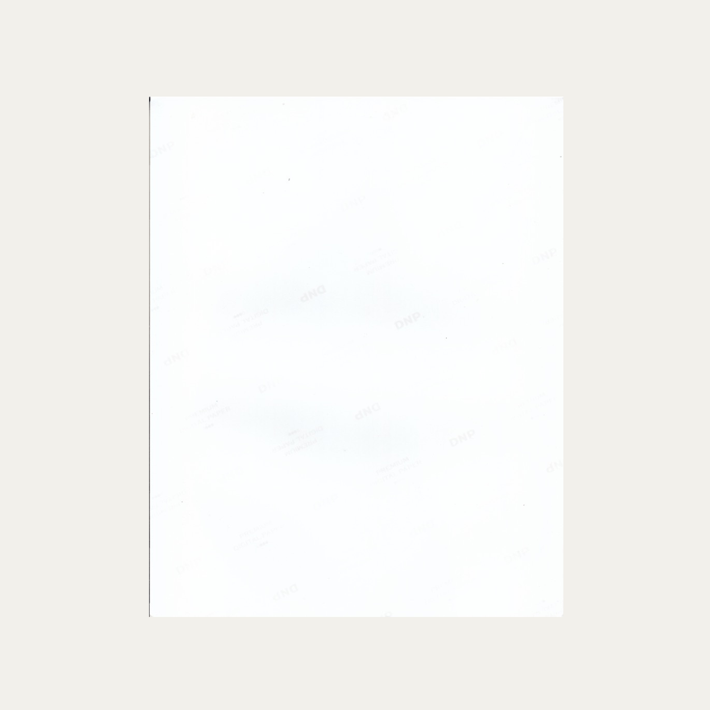 Lote 45: Fotografía firmada de Animales Fantásticos: Los Crímenes de Grindelwald (2018) - Jude Law