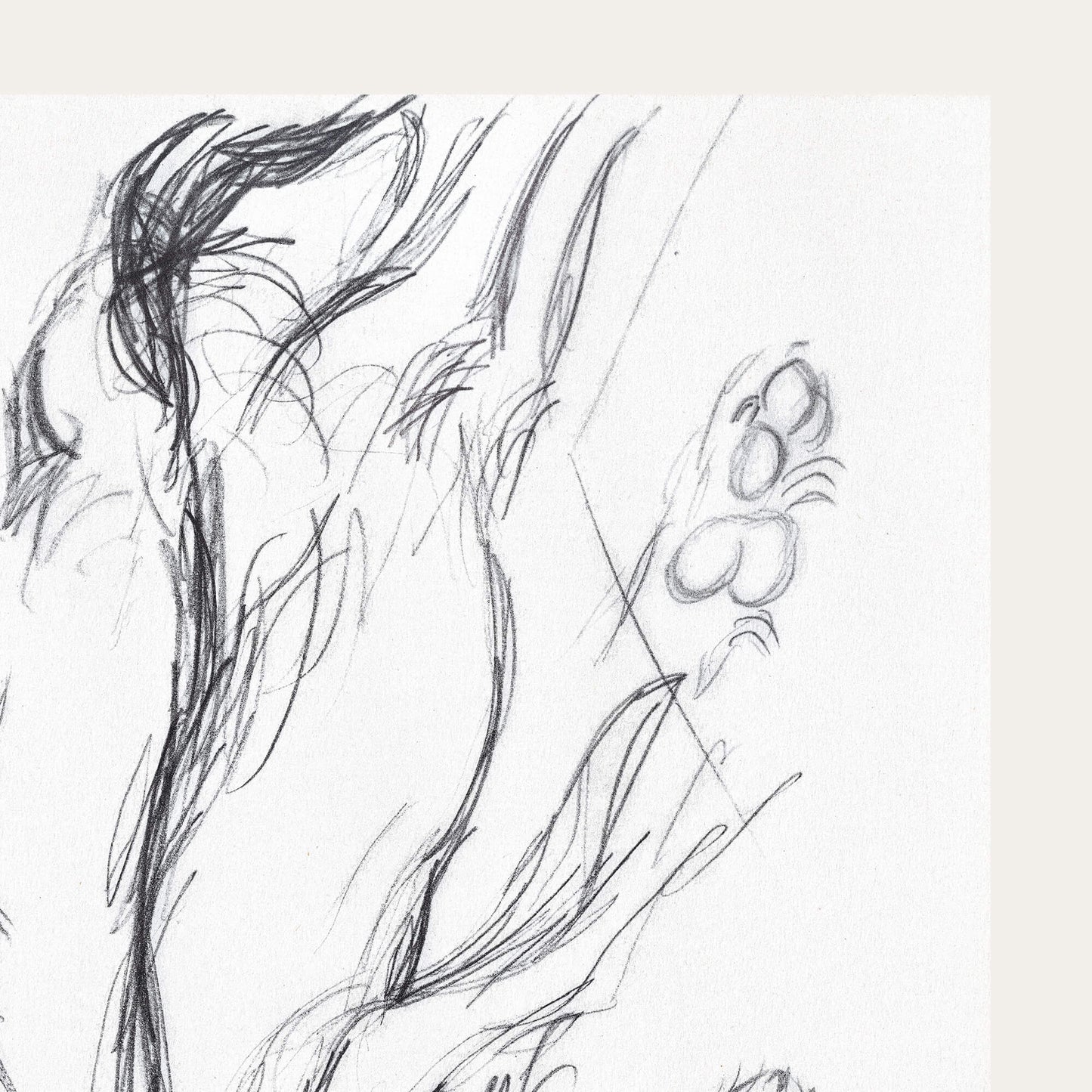 Univers animalier