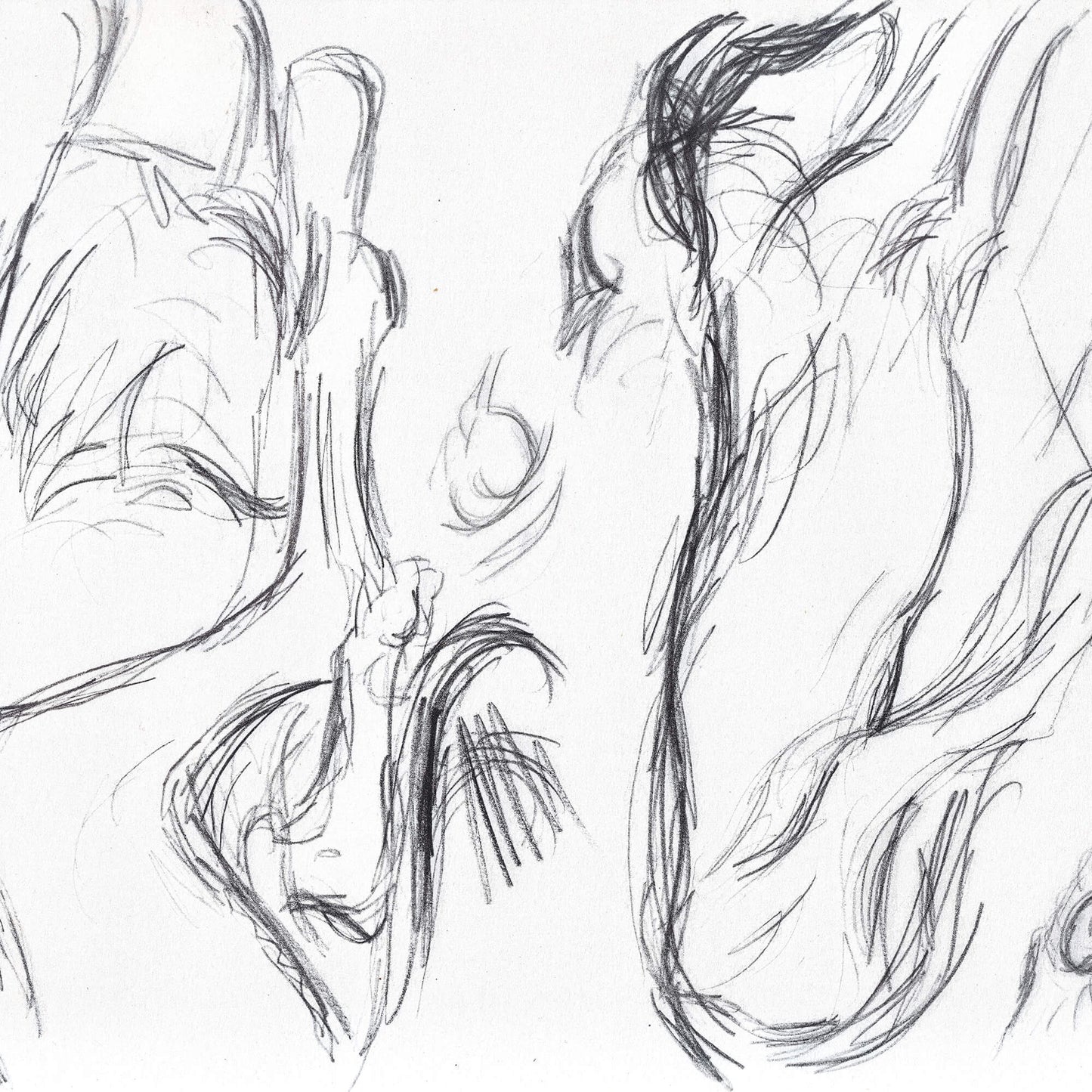 Univers animalier